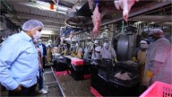 Maduro: La producción nacional de pollo se ha incrementado en 188 % en los últimos cuatro años