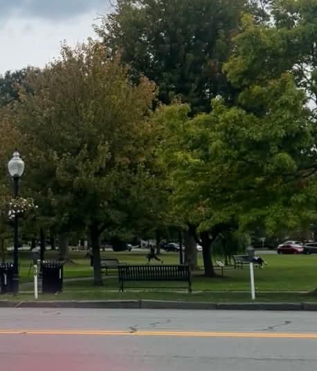 Arrest made in vandalization of Charlie Kirk Memorial in Goshen