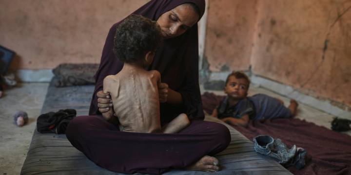 Strikes across Gaza kill at least 31 as international scholars accuse Israel of genocide