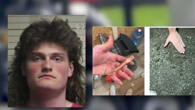Mason man pleads guilty to transporting explosive materials to local park