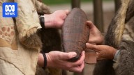 Victoria to become first Australian state to formally table treaty legislation in parliament