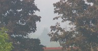 Lane County burn season delayed due to Southern Oregon smoke