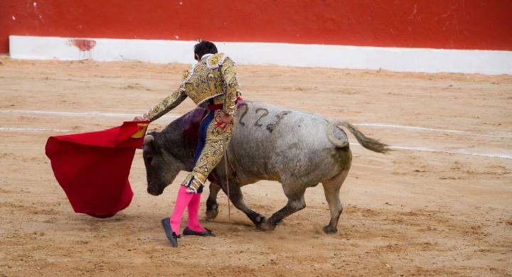 Un fallo histórico: la Corte Constitucional le cierra la puerta a la tauromaquia