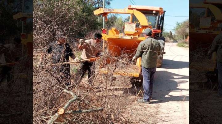 Cortaderas avanza con un plan integral de chipeado en toda la localidad