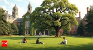 Why are they called the Ivy League? The story behind America’s elite universities