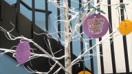 Recovery-themed tree gives participants a space to express their progress