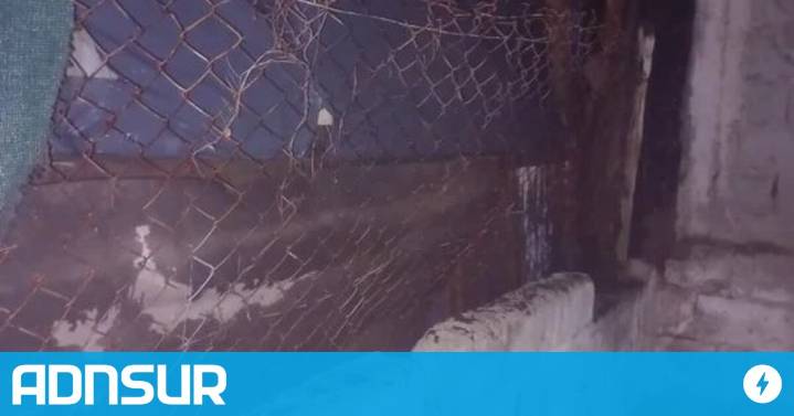 13:46 Máxima tensión en Chubut: intentaron quemar un galpón en medio de un conflicto entre familias