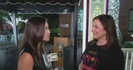 39th Grapefest underway on Downtown Grapevine's historic Main Street