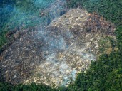 Brasil innova en herramienta para medir deforestación en la Amazonía