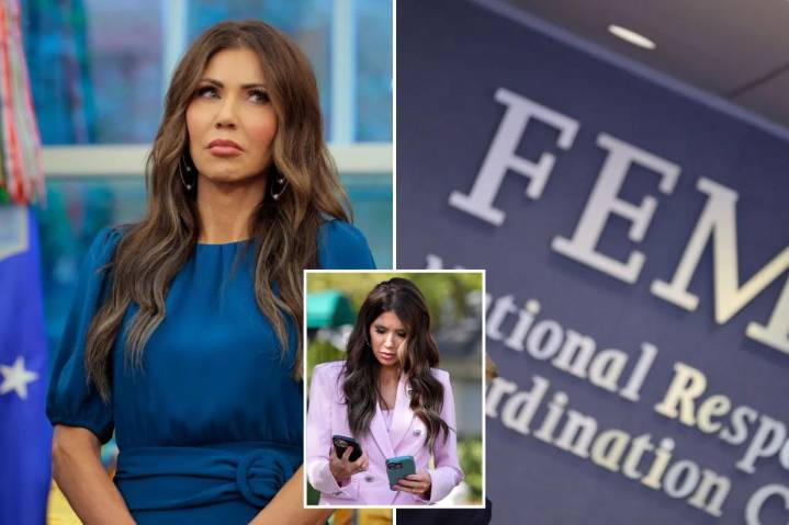 Exclusive | FEMA workers fired for watching 'racially charged' porn, bestiality content on gov't-issued devices at work