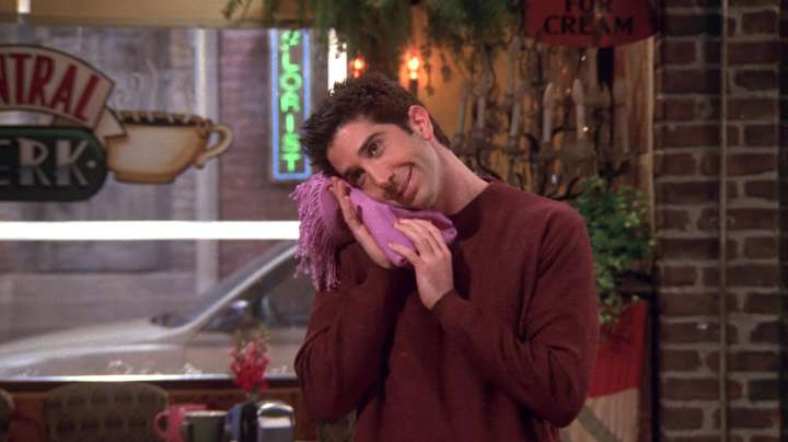 The Friends Guest Actor Who Almost Played Ross Geller Before David Schwimmer