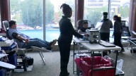 Versiti hosts First Annual Cultural Blood Drive at City Hall's Fishbowl Room