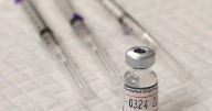 COVID-19 fall shots recommended for all adults: IDPH – Shaw Local