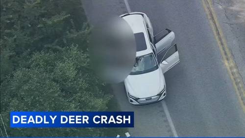 Malvern Prep student killed in freak accident involving deer on Route 322 in West Bradford Township, Chester County