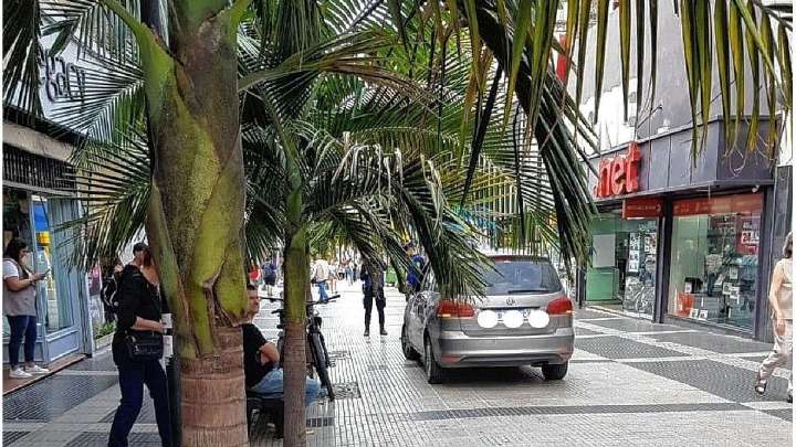 Le retiraron la licencia de conducir a la mujer que ingresó con su auto a la peatonal de Paraná