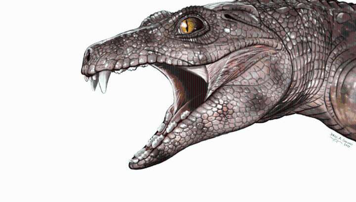 Teeth Of Prehistoric Crocodyliforms Suggest They Evolved To Be Herbivores Several Times