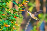 Estaciones. Cuándo es el equinoccio de primavera
