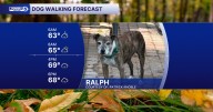 Wet Wednesday! Plan for soggy doggy walks on September 24