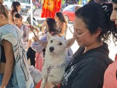 Más de 200 esterilizaciones en La Unión marcan el inicio del programa departamental en Nariño