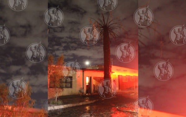 Prende fuego a palma en la Gregorio M. Solís