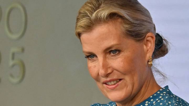 Duchess Sophie has an 'approachable' Cinderella moment in floaty gown