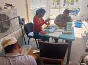 Venezuela: la lucha por proteger a los pastos marinos para combatir el cambio climático