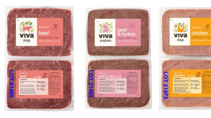 Retiran popular marca de alimento crudo para perros y gatos por posible contaminación en EE. UU.