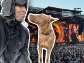 Liam Gallagher y Buttons: la historia de la perrita del cantante que aparece en los shows de Oasis