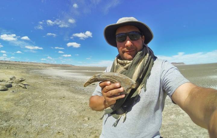 How mean was this new Argentine dinosaur? It had a croc leg in its jaws