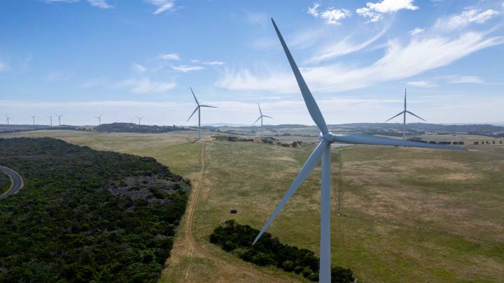 ‘So much uncertainty’: NSW Farmer details mental health toll of ‘zombie' NSW wind farm project on rural community