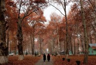 Kashmir to Witness 30-Day Dry Spell