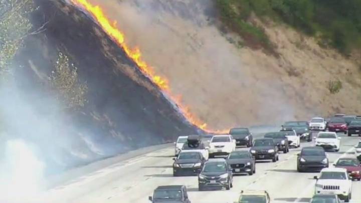 Brush fire sparks along I-5 on Beacon Hill