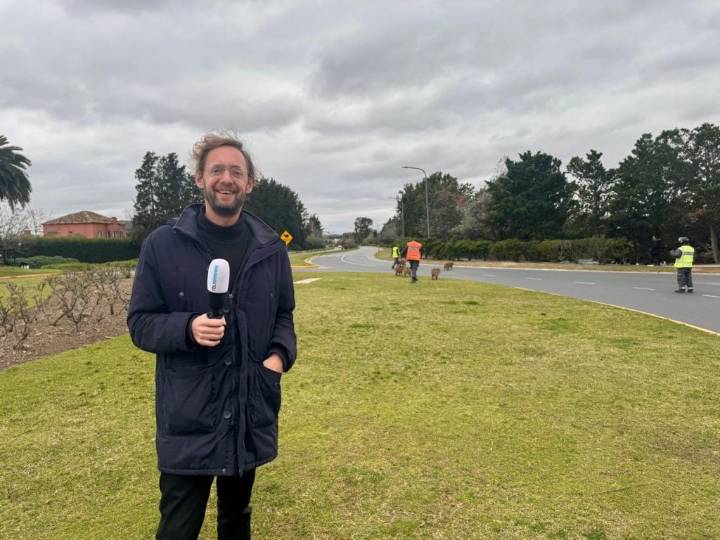 La historia del periodista neerlandés que investiga en Mar del Plata el caso del cuadro robado por los nazis