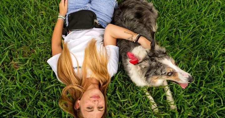 Rising heartworm threat for pets post