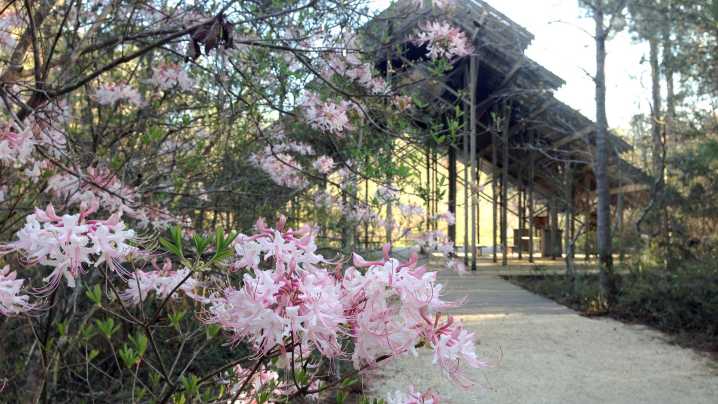 HGTV names Crosby Arboretum the most beautiful garden in Mississippi
