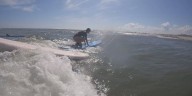 ‘Everybody belongs here’: Hot Sushi hosts surf camp for international students