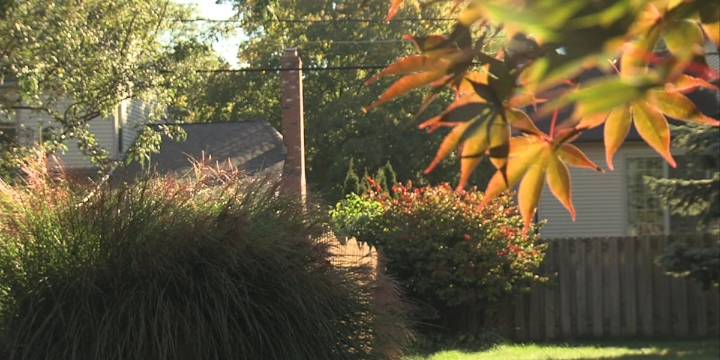 Knowing the differences between colds and allergies
