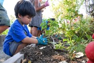 Upland students are making their school gardens grow