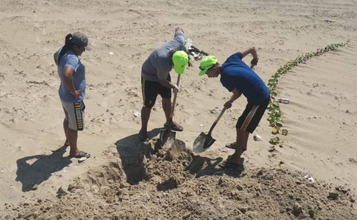 Detectan gripe aviar en playa de Matamoros; sepultan 400 aves