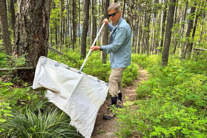 Ticks are migrating, raising disease risks if they can’t be tracked quickly enough