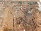 Adjudicadas las exhumaciones de fosas comunes en Valverde y Santa Olalla del Cala