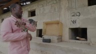 African giant pouched rats sniff out danger and disease in Tanzania