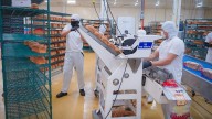 Inversión privada es 15% más alta en primeros años de Gobierno de Rocha en comparación con el de Quirino, dice el Gobierno de Sinaloa