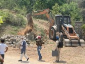 Punjab's proposed Kandi farmhouse policy hits forest cover hurdle