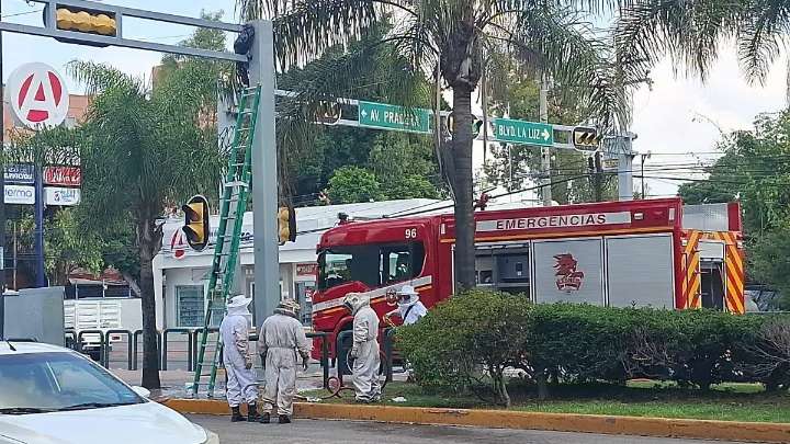 Abejas atacan a varias personas que esperaban el transporte público