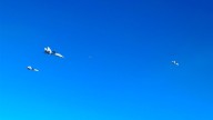 La OTAN debió intervenir tras otra provocación de aviones de Putin en la frontera con Lituania