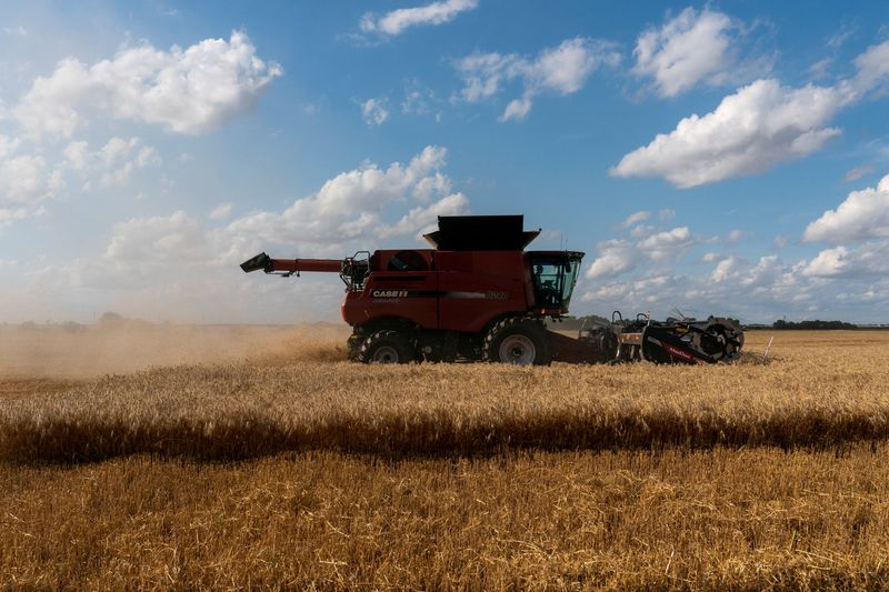 USDA considering economic aid for farmers this fall, says secretary
