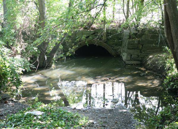 Now you see it, now you don’t: Canterbury Brook could be key to flood mitigation efforts in Mattapan