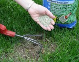 It’s prime time to give the lawn some TLC with these six jobs