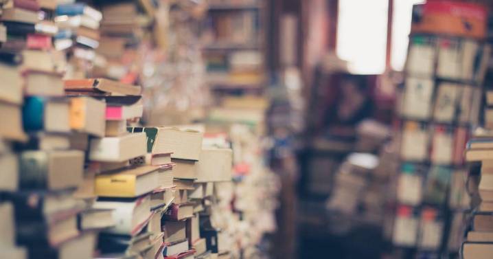 Meet McDowell County, western NC authors at this literary gathering set in Marion